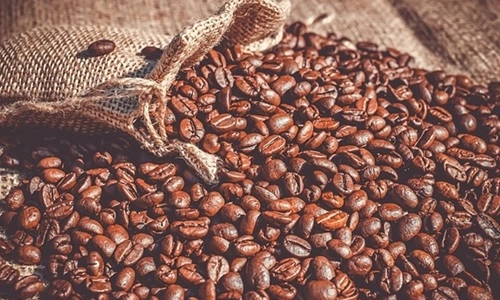 Coffee Producing