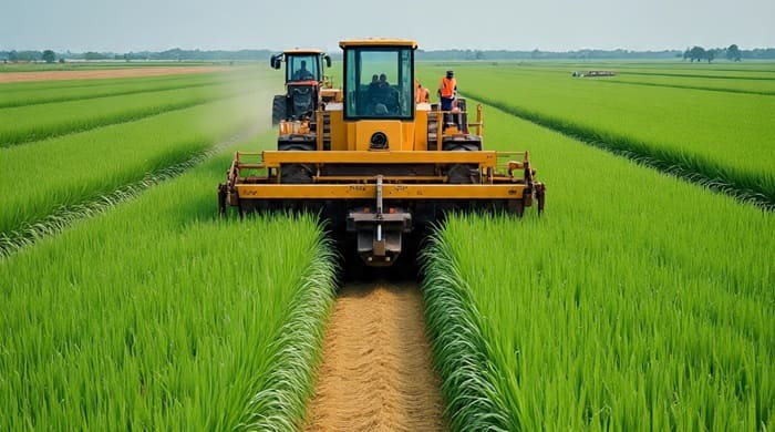 Sugarcane Producing States in India