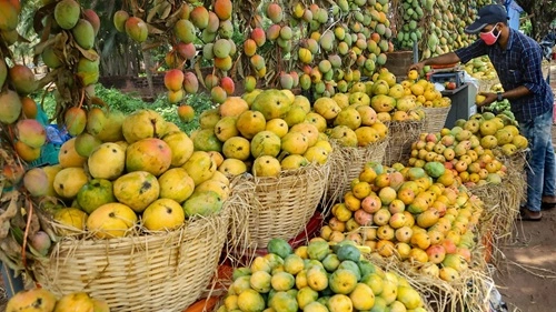 Mango Producing