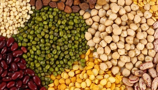 Pulses Producing