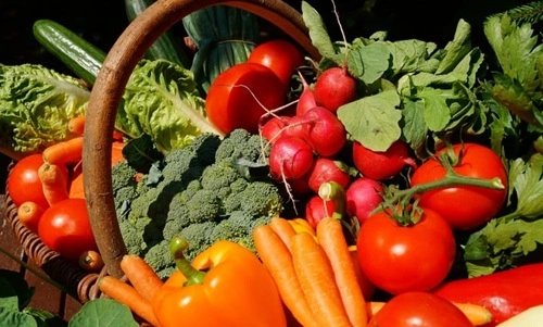 Vegetable Producing