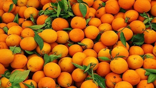 Orange Producing