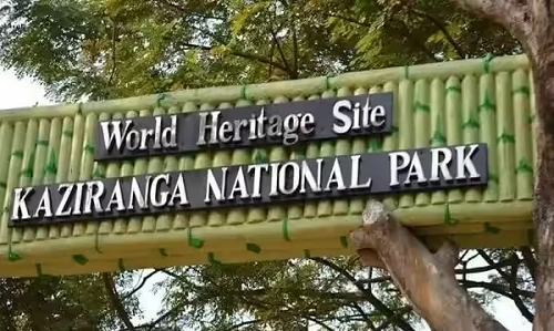 Kaziranga National Park, Assam