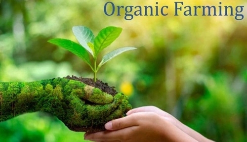 Organic Farming