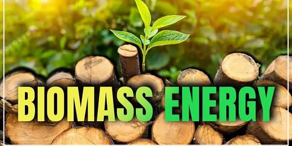 Biomass Energy